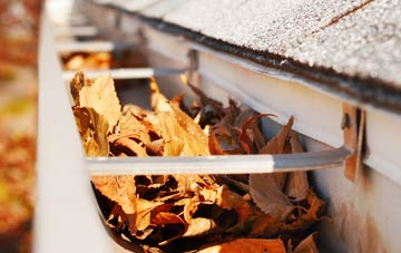 Lower Clopton gutter cleaning companies